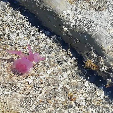 Fronte Mare Giusi Climatizzato Appartamento *
